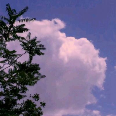 暗黑牧魂者最新版下载